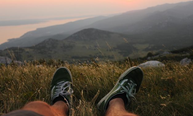 How to make meaningful use of assessment feedback lessons